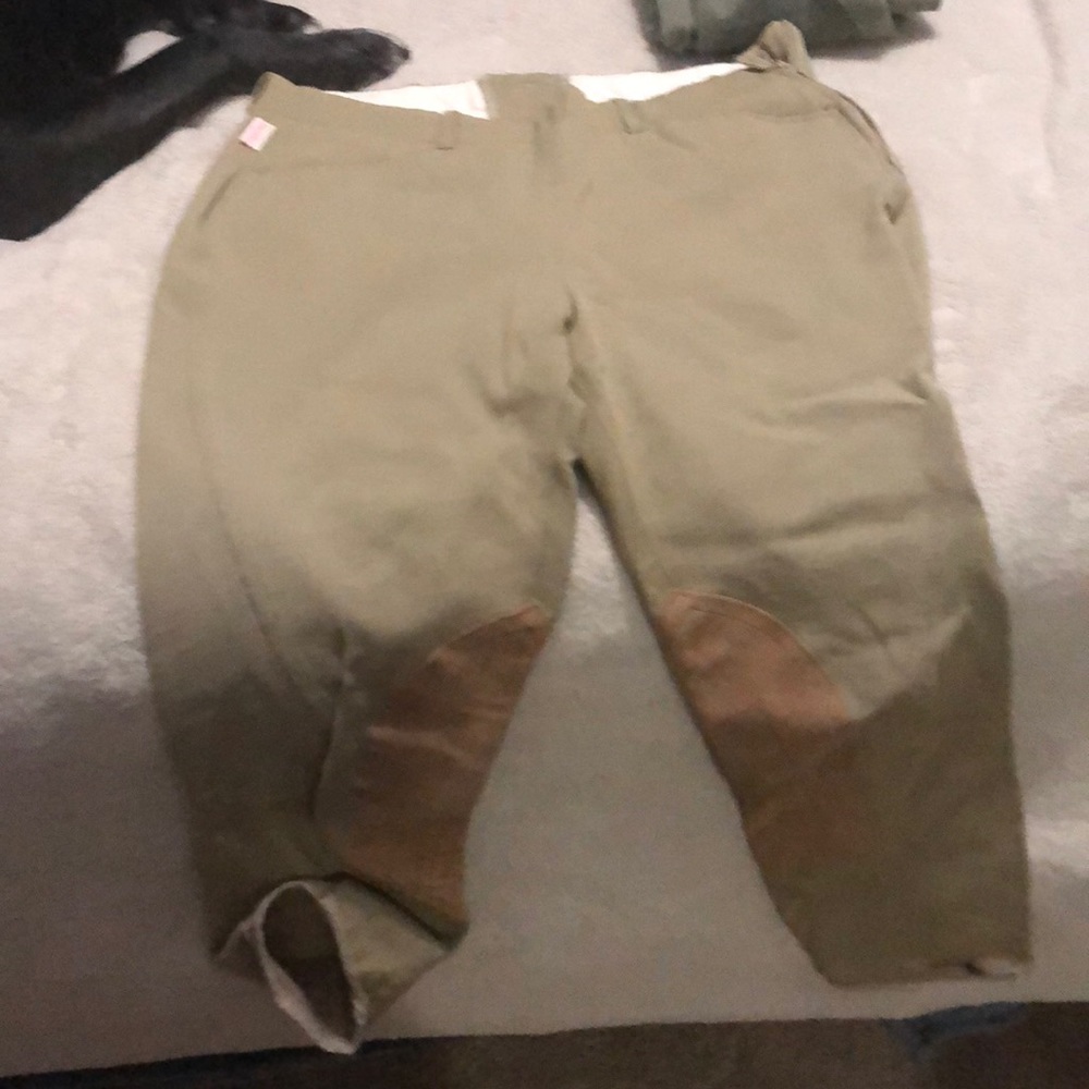English riding britches